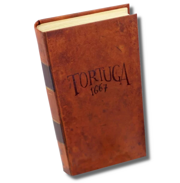 tortuga-1667-lucky-duck